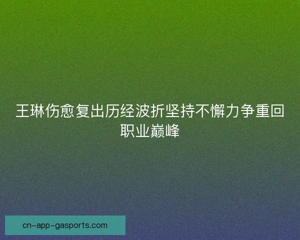 王琳伤愈复出历经波折坚持不懈力争重回职业巅峰
